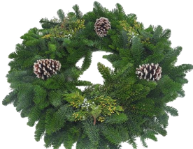24" Noble Fir Wreath w/ Juniper, Incense Cedar, and Frosted Pinecones