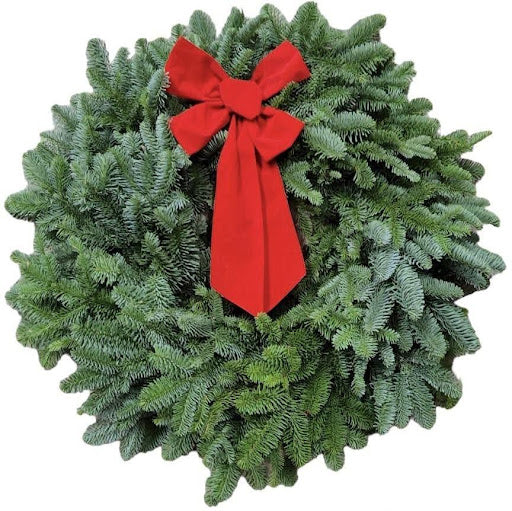 24" Noble Fir Wreath with Red Ribbon