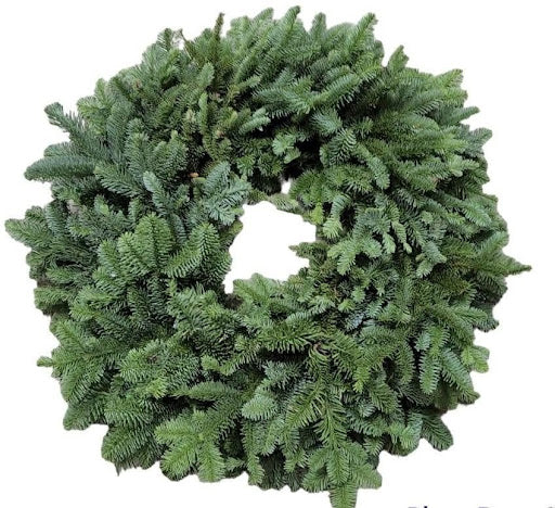 24" Plain Noble Fir Wreath