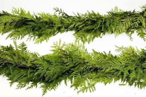 Western Red Cedar Garland 15 ft
